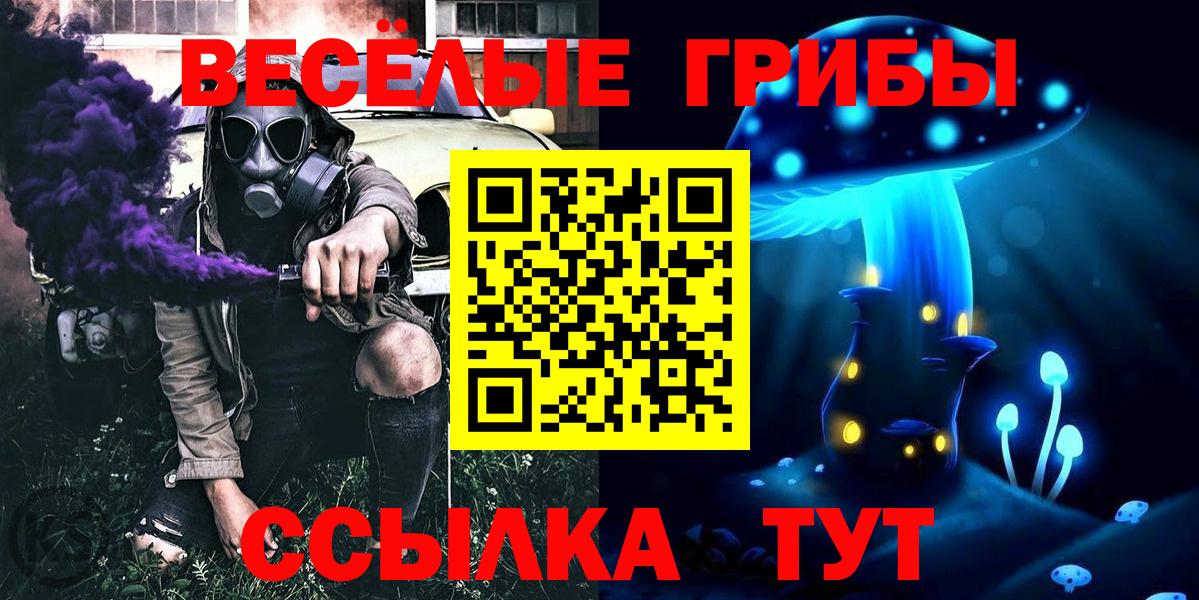 Псилоцибиновые грибы MAGIC MUSHROOMS  Вход с VPN  Тамбов  Галлюциногенные грибы мухоморы 