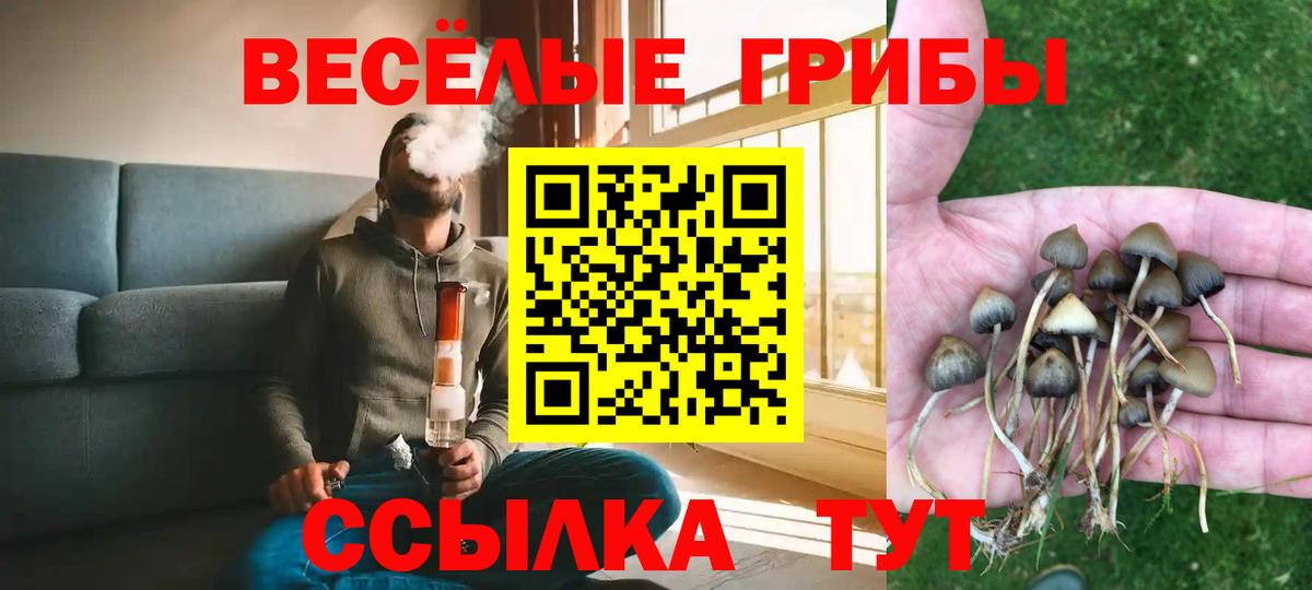 Галлюциногенные грибы прущие грибы Тамбов